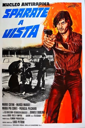 Poster 就地正法 1977