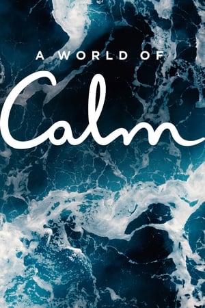 Poster A World of Calm Temporada 1 El regalo del chocolate 2020
