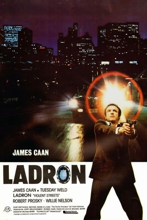 Poster Ladrón 1981