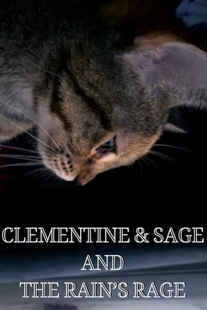 Image Clementine & Sage and The Rain's Rage