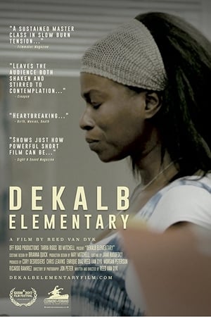 Poster DeKalb Elementary 2017