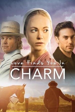 Poster Love Finds You in Charm 2015