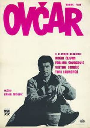 Poster Ovčar 1971