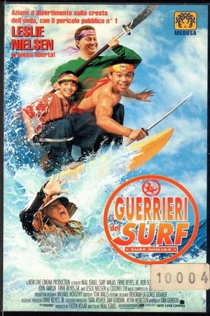 Poster I guerrieri del surf 1993