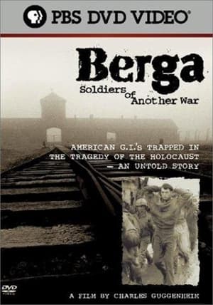 Poster Berga: Soldiers of Another War 2003