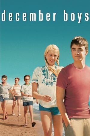 Poster Grudniowi chłopcy 2007