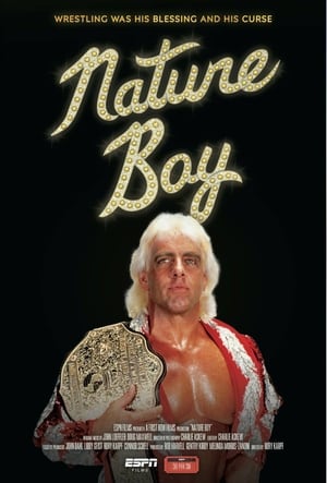 Poster Nature Boy 2017