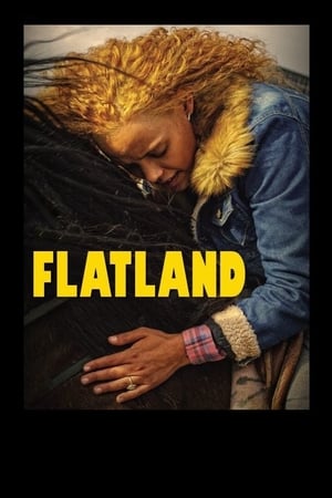 Poster Flatland - Trois horizons 2019