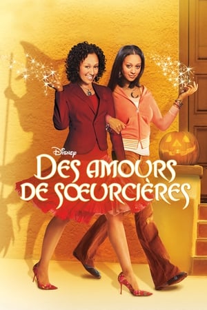 Poster Des amours de sœurcières 2005