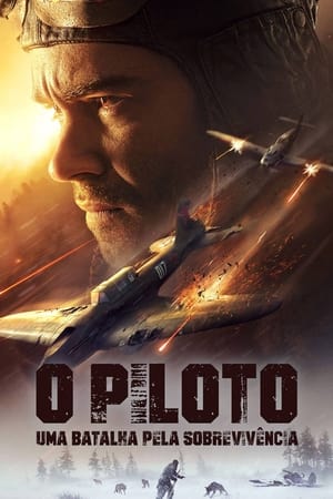 Image The Pilot: A Battle for Survival