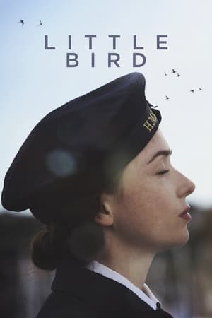 Poster Little Bird 2017