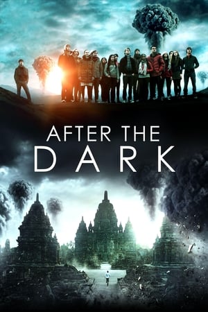Poster After the Dark 2013