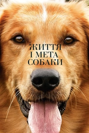 Poster Життя і мета собаки 2017
