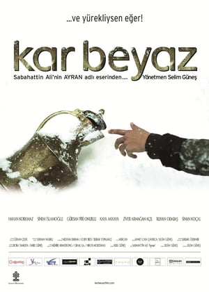 Poster Kar Beyaz 2011