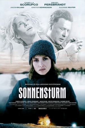 Poster Sonnensturm 2007