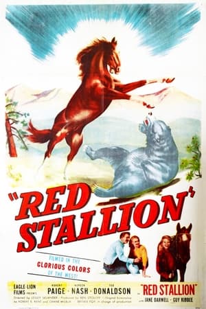 Image The Red Stallion