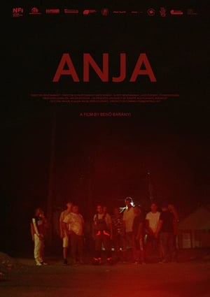 Poster Anja 2020