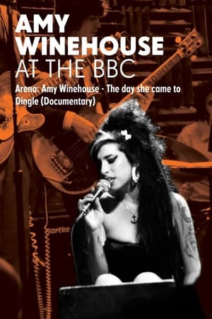 Image Amy Winehouse : Live in Dingle