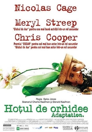 Poster Hoțul de orhidee 2002