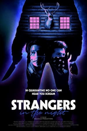 Poster Strangers in the Night 2021