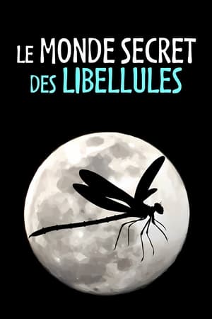 Image Le Monde secret des libellules