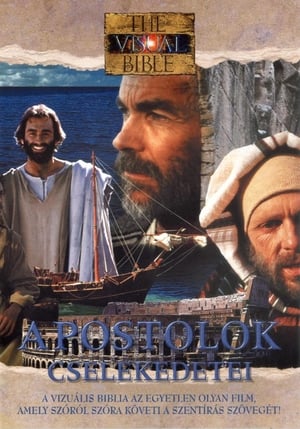 Poster The Visual Bible - Acts 1994