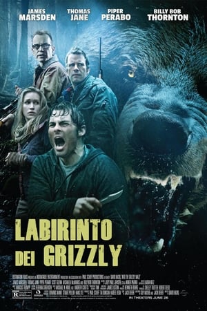 Poster Labirinto dei Grizzly 2015