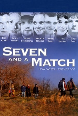 Image Seven and a Match