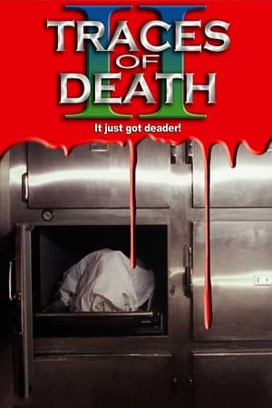 Poster Traces Of Death II 1994
