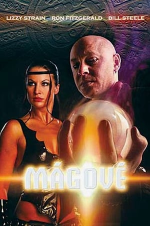 Poster Magus 2008