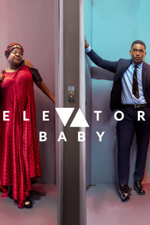 Poster Elevator Baby 2019
