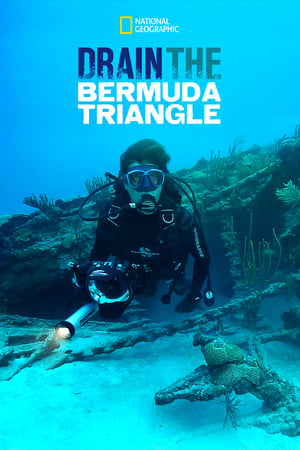 Poster Drain the Bermuda Triangle 2014