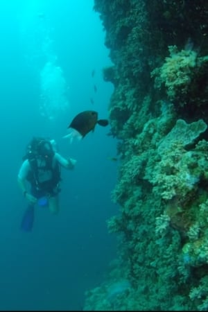 Image Wonders of the Great Barrier Reef with Iolo Williams
