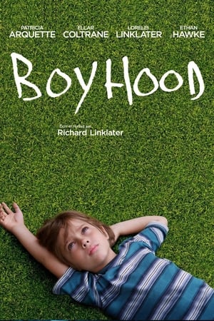 Poster Boyhood 2014