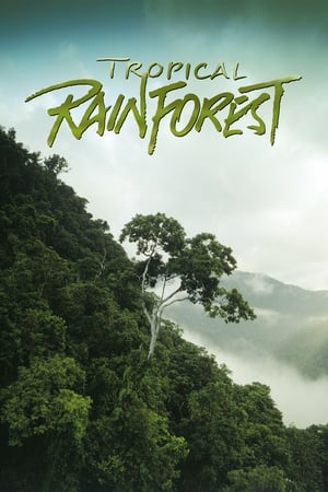 Poster Tropical Rainforest 1992