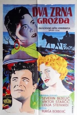 Poster Dva zrna grožđa 1955