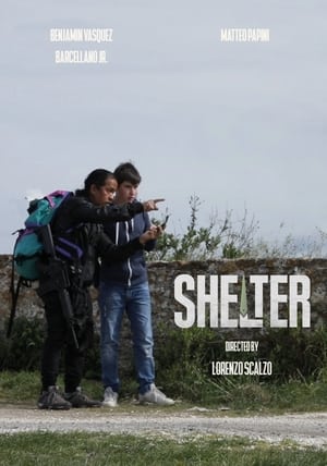 Poster Shelter 2022