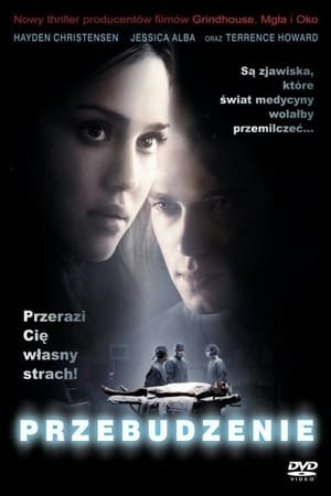 Poster Przebudzenie 2007