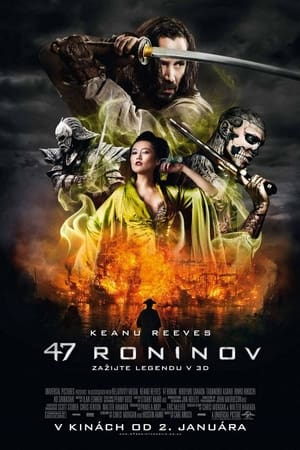 Poster 47 Roninov 2013
