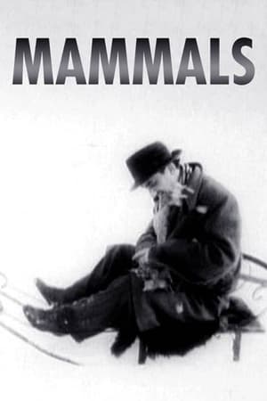 Poster Mammals 1962