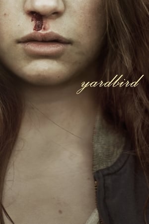 Poster Yardbird 2012