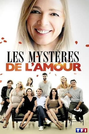 Poster Les Mystères de l'amour 2011