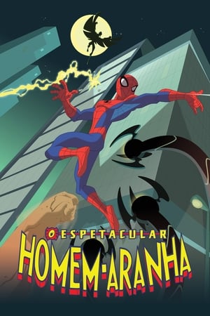 Poster O Incrível Homem-Aranha 2008