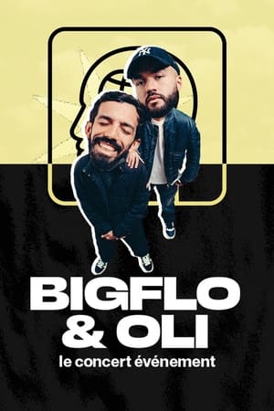 Image Bigflo & Oli, le concert événement