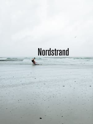 Poster Nordstrand 2013