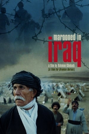 Image Marooned in Iraq