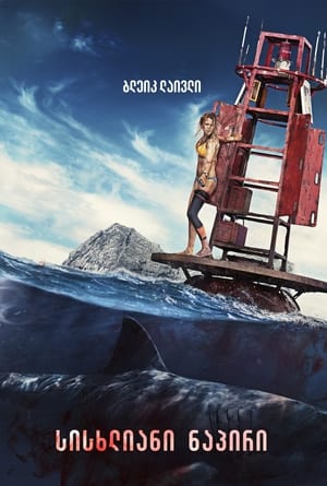 Poster The Shallows 2016