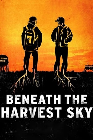 Poster Beneath the Harvest Sky 2013