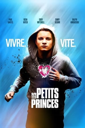 Poster Les Petits Princes 2013