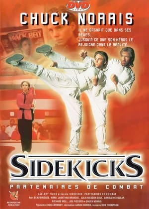 Poster Sidekicks 1992